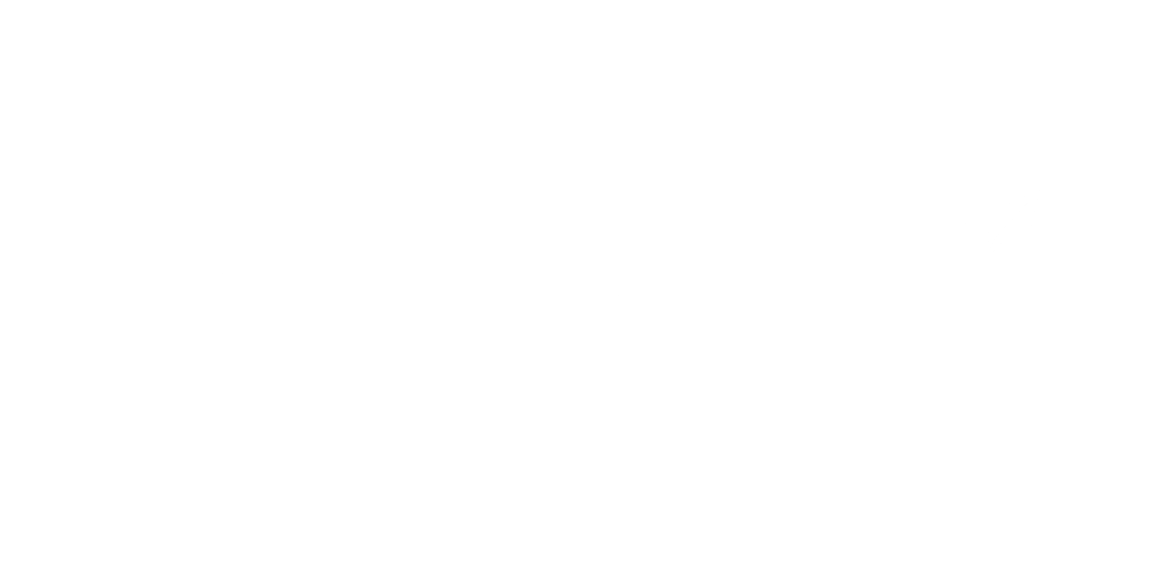 Fastlane Transfers Logo